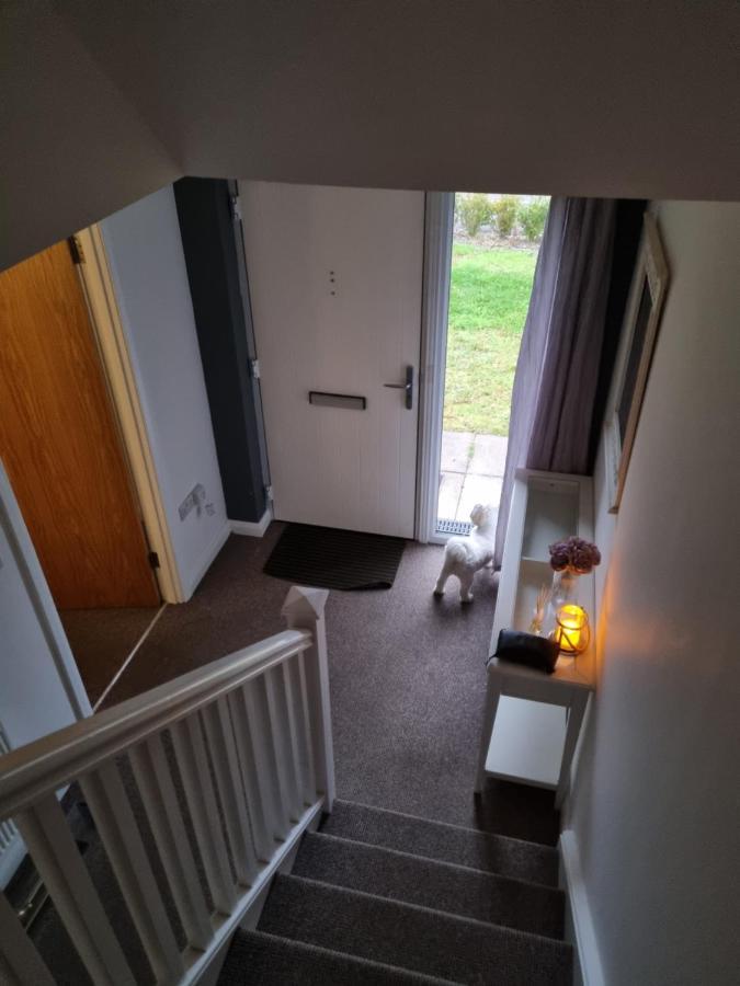 Modern 3 Bedroom Semi Detached Home Limavady Eksteriør bilde